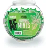 Numb Af - Spearmint Flavored Numbing Mints - Display - 100 Pcs Lubes & Essentials Little Genie