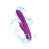 Frenzy Clitoral Suction Rabbit - Berry Vibrators Viben