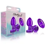 Vibrating Purple Metal Remote Plug - Medium Anal Play Viben