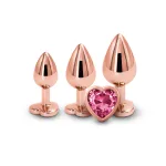 Rear Assets - Trainer Kit - Rose Gold - Pink Heart Anal Play nsnovelties