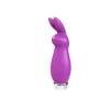 Crazzy Bunny Rechargeable Bullet - Perfectly Purple Vibrators VeDO