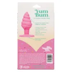 Naughty Bits Yum Bum Ice Cream Cone Butt Plug - Pink Anal Play CalExotics