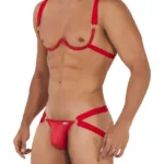 99731 Harness-Bra Two Piece Set Color Red Size S/M - Image 3
