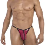 99776 Mesh Thongs Color Burgundy Size L/XL