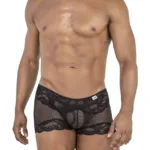99779 Mesh Lace Trunks Color Black Size L