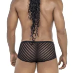 Alternative view of 99790 Mesh Trunks Color Black Size L