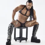 99809 Mesh Harness Color Black Size L/XL - Image 5