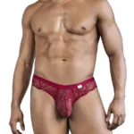 99868 Lace Briefs Color Wine Size M