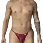 99914 Lace Briefs Color Burgundy Size L/XL