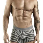 1800 Cebra Trunks Color Gray Size S