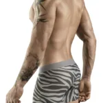 Alternative view of 1800 Cebra Trunks Color Gray Size S