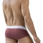 Alternative view of 1863 Lecler Briefs Color Grape Size L