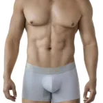 2026 Valladolid Trunks Color Gray Size L