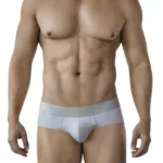 2028 Valladolid Briefs Color Gray Size L