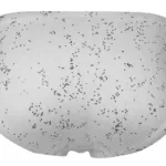 2039 Galaxy Briefs Color White Size S - Image 6