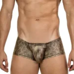 26042 Atlas Trunks Color Gold Size L