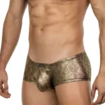 26042 Atlas Trunks Color Gold Size L - Image 3