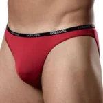 1395-RED Aire Bikini Color Red Size L