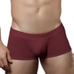 1760-BRD Low-rise Trunk Color Bordeaux Size L
