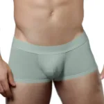 1760-GRY Low-rise Trunk Color Gray Size L