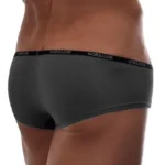 Alternative view of 1781-SMK Naked Mini Trunk Color Smoke Size L