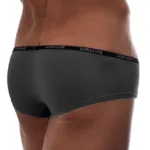 Alternative view of 1781-SMK Naked Mini Trunk Color Smoke Size 2XL