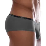 1781-SMK Naked Mini Trunk Color Smoke Size L - Image 3