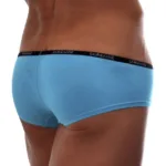 Alternative view of 1781-TRQ Naked Mini Trunk Color Turquoise Size L