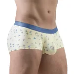 EW1770 SLK SE Trunks Color Vanilla-Birds Size S - Image 3