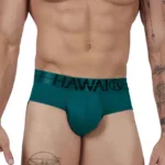 41963 Microfiber Briefs Color Green Size S