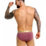Alternative view of 2327 Soho Briefs Color Wine Size S