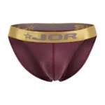 2328 Soho Bikini Color Wine Size 2XL - Image 3