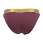 2328 Soho Bikini Color Wine Size 2XL - Image 4