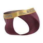 2328 Soho Bikini Color Wine Size 2XL - Image 5