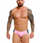 2384 Wind Swim Briefs Color Pink Size 2XL