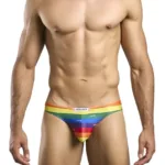 XSJ01 Classic Bikini Color Pride Flag Size 2XL