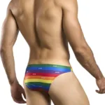 Alternative view of XSJ01 Classic Bikini Color Pride Flag Size 2XL