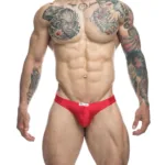 XSJ01 Classic Bikini Color Red Size 2XL - Image 4