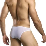 Alternative view of XSJ01 Classic Bikini Color White Mesh Size 2XL