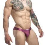 XSJ01 Classic Bikini Color Wine Size 2XL - Image 4