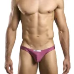 XSJ01 Classic Bikini Color Wine Size 2XL