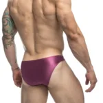 XSJ01 Classic Bikini Color Wine Size 2XL - Image 5