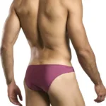 Alternative view of XSJ01 Classic Bikini Color Wine Size 2XL