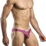 XSJ01 Classic Bikini Color Wine Size 2XL - Image 3