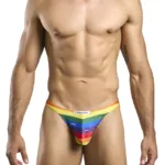 XSJ03 Classic Thongs Color Pride Flag Size 2XL