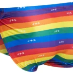 XSJ09 Running Shorts Color Pride Flag Size L/XL - Image 7