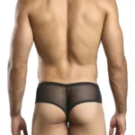 Alternative view of XSJ22 Cheek Briefs Color Black Mesh Size 2XL