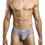 XSJ22 Cheek Briefs Color Lurex Gray Size 2XL