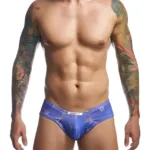 XSJ22 Cheek Briefs Color Party Size 2XL