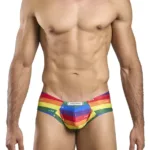 XSJ22 Cheek Briefs Color Pride Flag Size 2XL